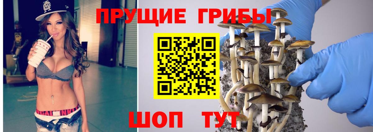 Пыть-Ях  где найти наркотики  Вход с VPN  Галлюциногенные грибы мухоморы  Галлюциногенные грибы мухоморы 