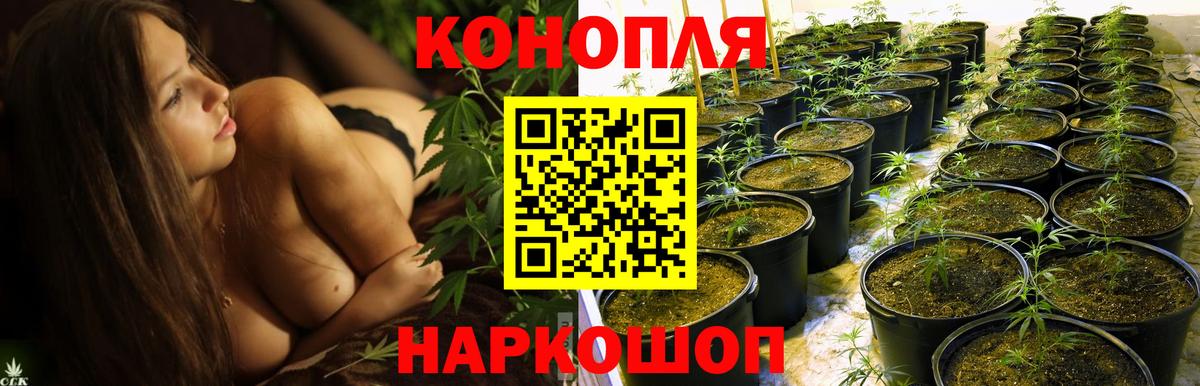 Пыть-Ях  Бошки Шишки Bruce Banner  Бошки Шишки планчик  МАРИХУАНА индика  Вход с VPN  Бошки Шишки сатива 